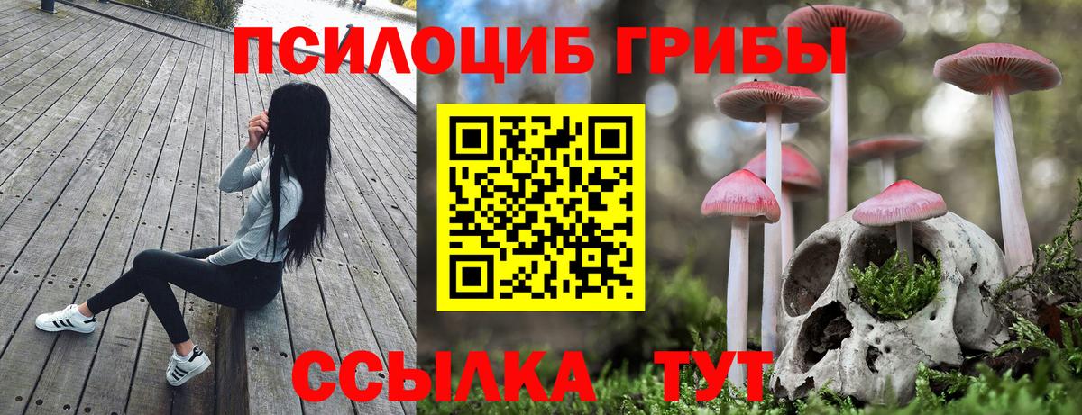 Псилоцибиновые грибы прущие грибы  Псилоцибиновые грибы Psilocybine cubensis  Донской  Вход с VPN 